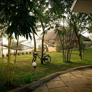  Resort Bhuvi Natural Tea Plantation - Different Activity Packages Available To Make Your A Memorable One