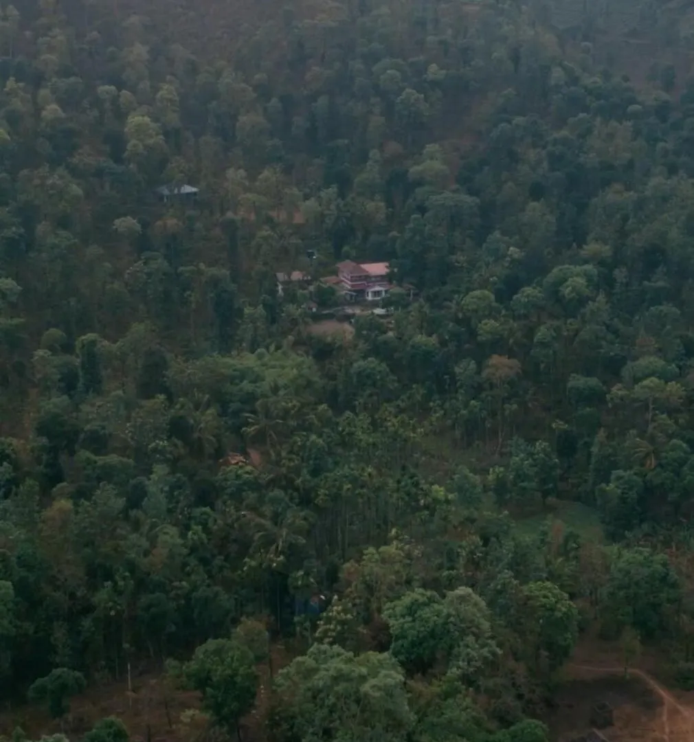 Vintage Coffee Estate 3 Bedrooms 1 Cottage Wayanad Holiday home