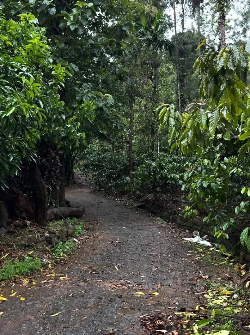Vintage Coffee Estate 3 Bedrooms 1 Cottage Wayanad Holiday home