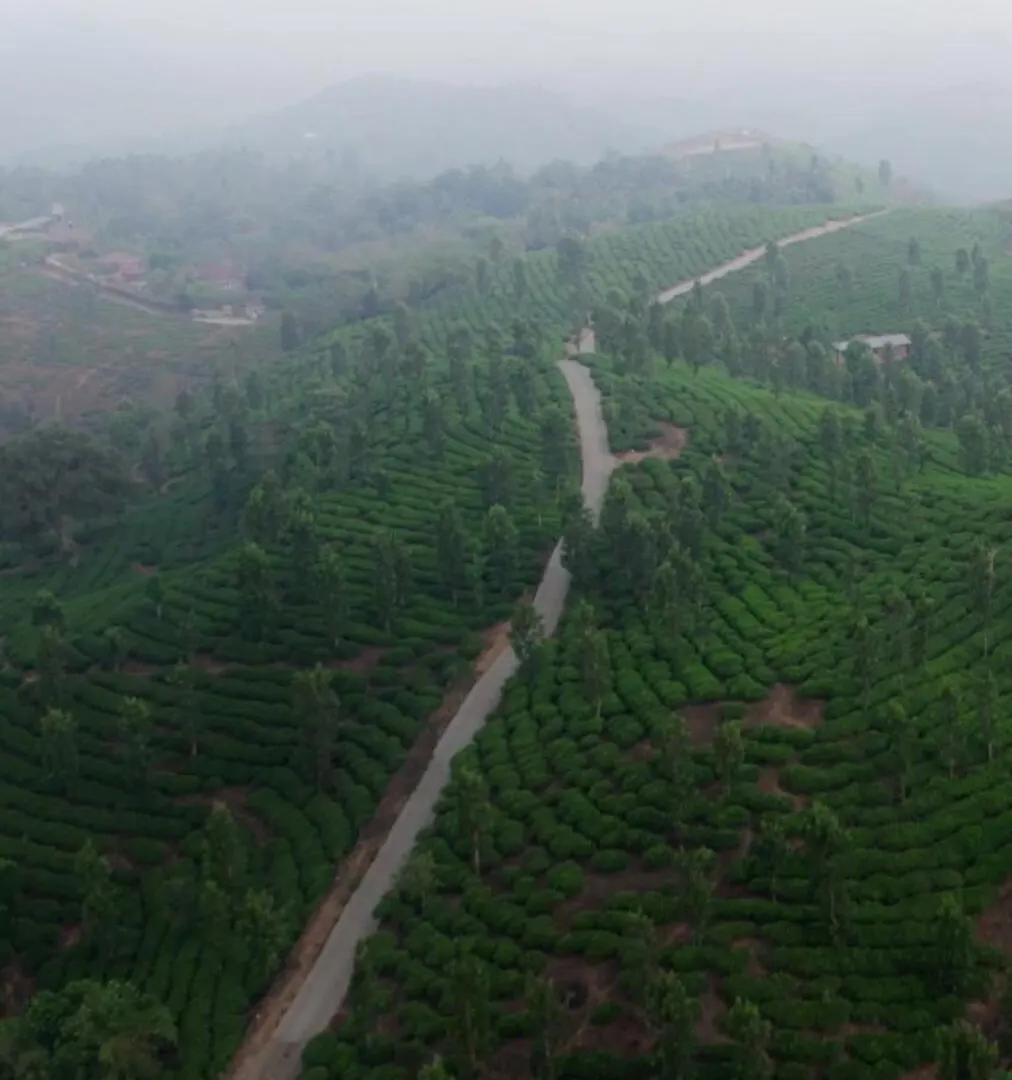 Holiday home Vintage Coffee Estate 3 Bedrooms 1 Cottage Wayanad